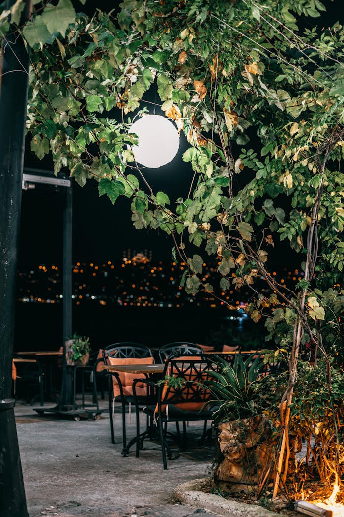 Street cafe among green trees under bright illumination of lamp